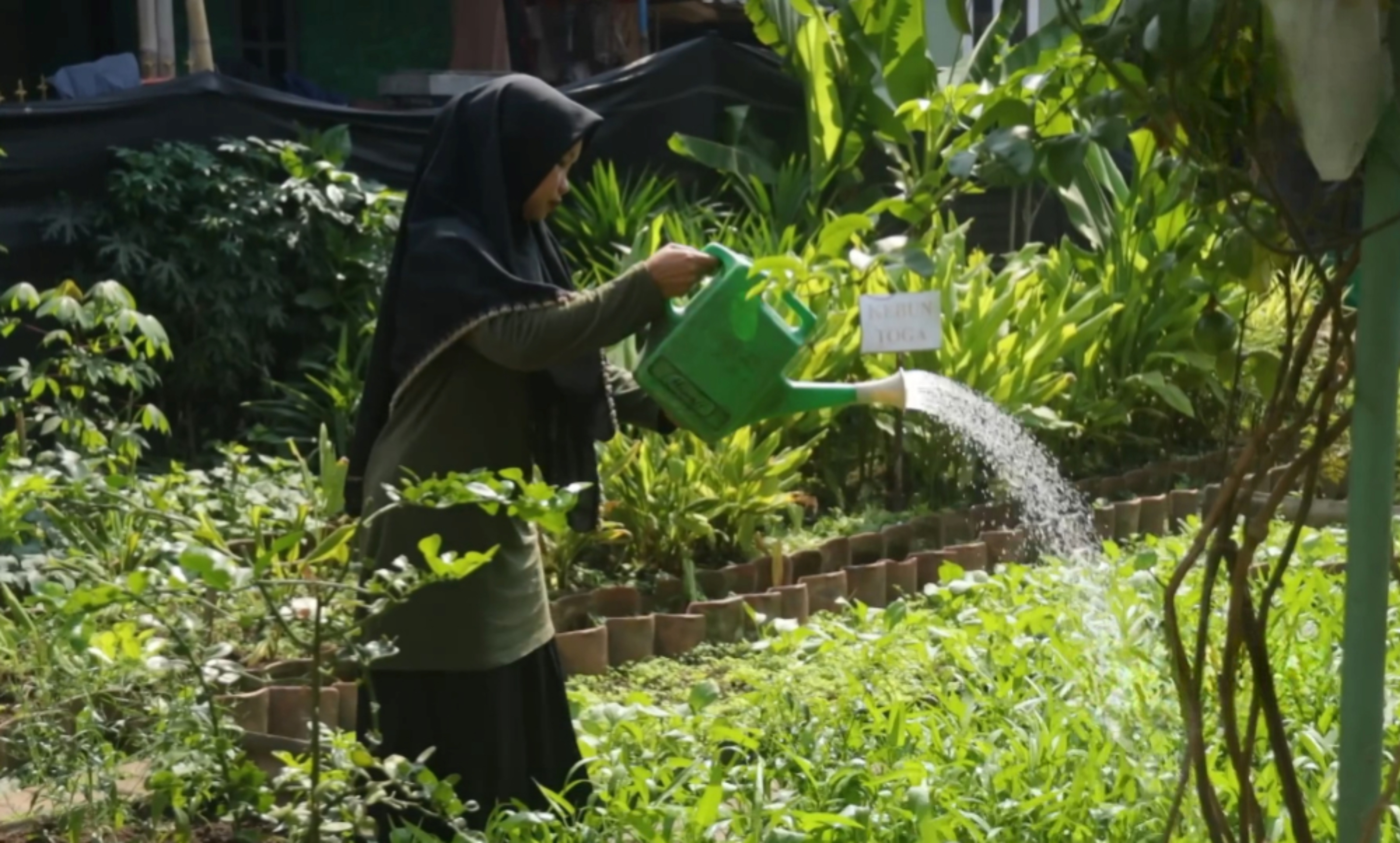 Smart Farming